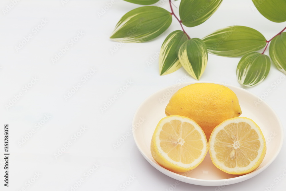 レモン レモン
