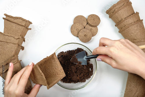 Tools, seeds, peat pots and pressed ground for seedlings. Copyspace for text, top view. Growing food on windowsill. Flatlay on white wooden background