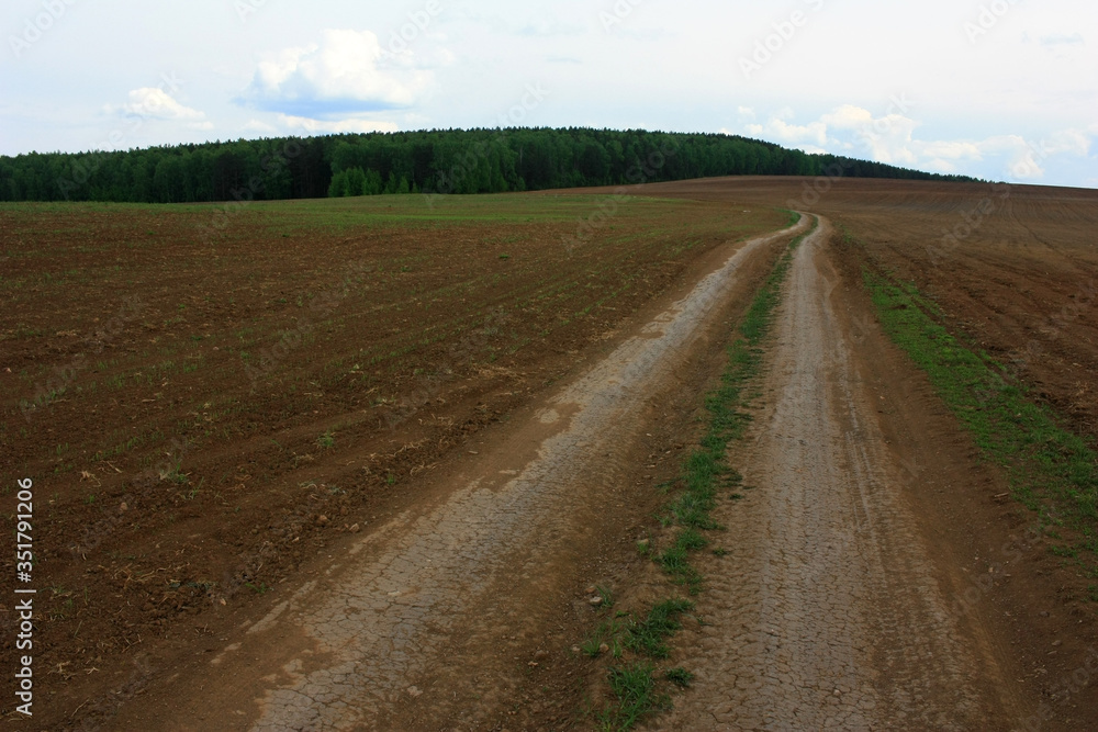 Dirt road in the field