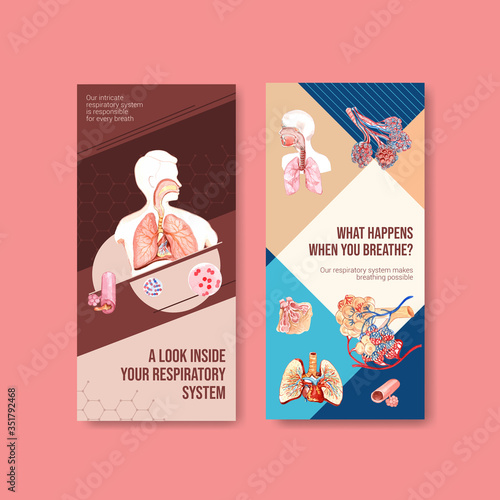 Respiratory flyer design with Human Anatomy of Lung and healthy care
