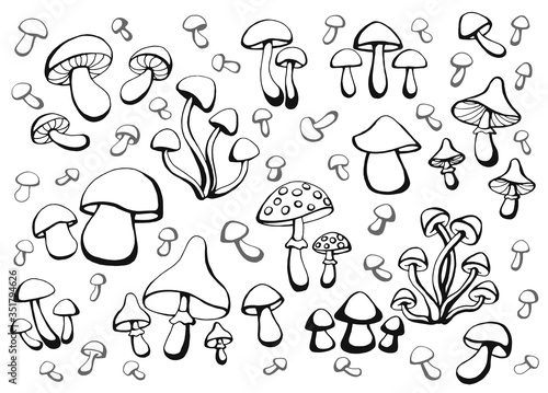 Hand drawn set of mushrooms. Outline drawing. Vector illustration. Black and white.