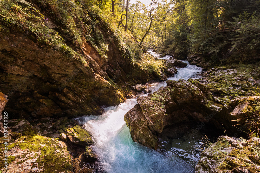 The mountain stream in the Gorge with Forest on both sides. Vintgar Gorge, Slovenia during summer