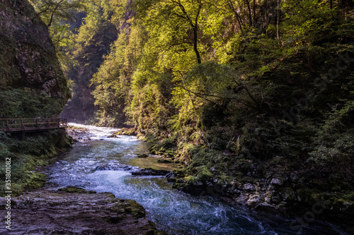 The mountain river in the Forest with rays of sun shining through green and yellow trees on right and left sides. Vintgar Gorge  Slovenia during summer
