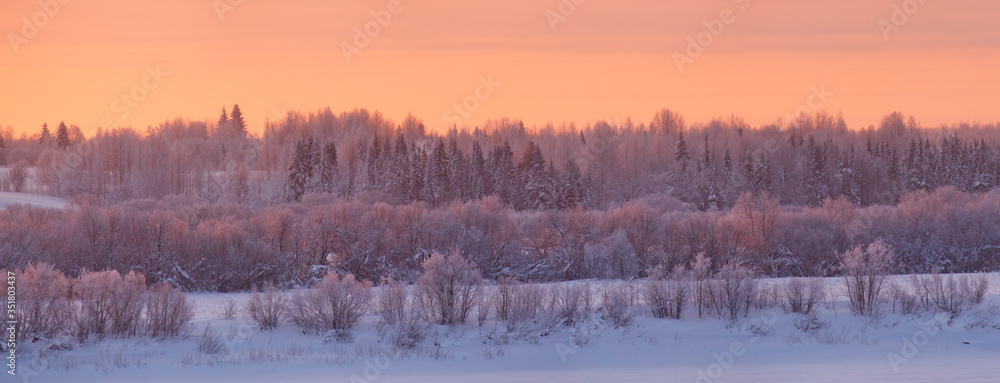 Fototapeta premium Winter forest snowy sunrise in Russian north