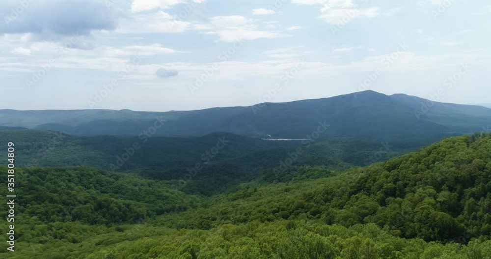 Flying past trees looking over mountains dense woodland Flying past trees looking over mountains dense woodland