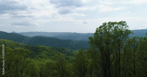 Flying through canopy of trees in Blue ridge Mountains, revealing shot over mountain range
