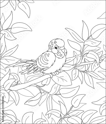 Amusing parrot, long-tailed, perched on a tree branch in a wild tropical jungle, black and white outline vector cartoon illustration for a coloring book page