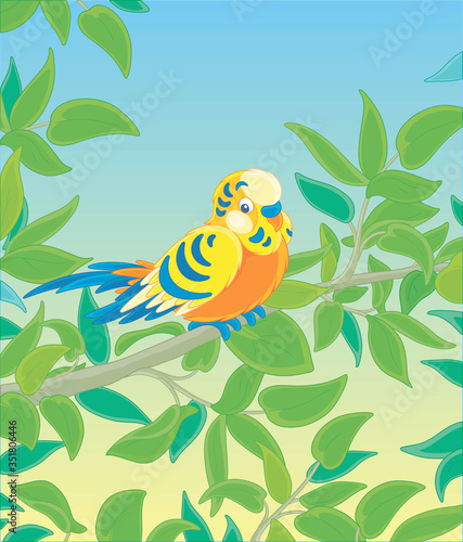 Amusing colorful parrot  long-tailed and with brightly colored plumage  perched on a green tree branch in a wild tropical jungle  vector cartoon illustration