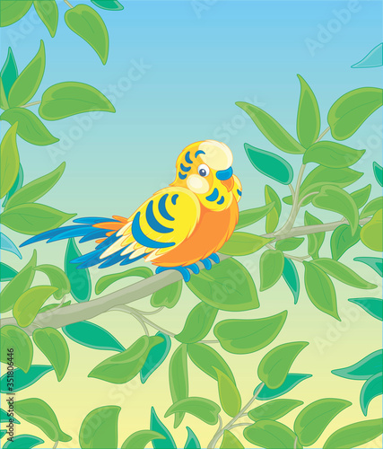 Amusing colorful parrot, lo...