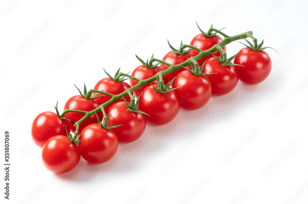 Tomatoes on a white background Tomatoes on a white background
