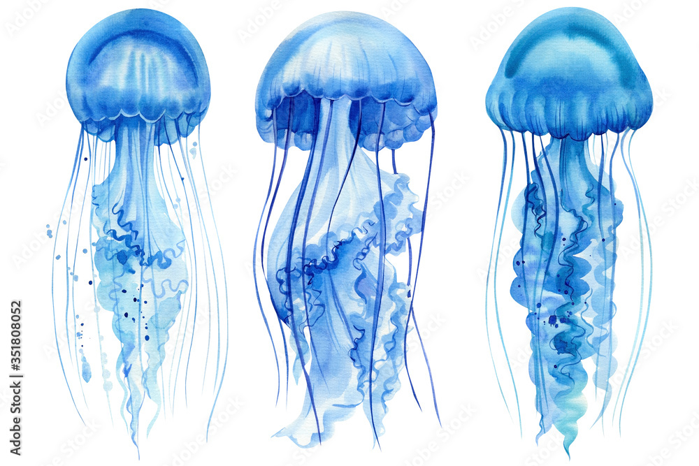 set of beautiful blue jellyfish on an isolated white background, watercolor hand drawing set of beautiful blue jellyfish on an isolated white background, watercolor hand drawing