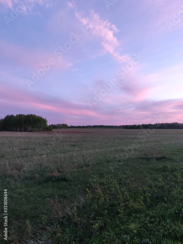 pink sunset over the field