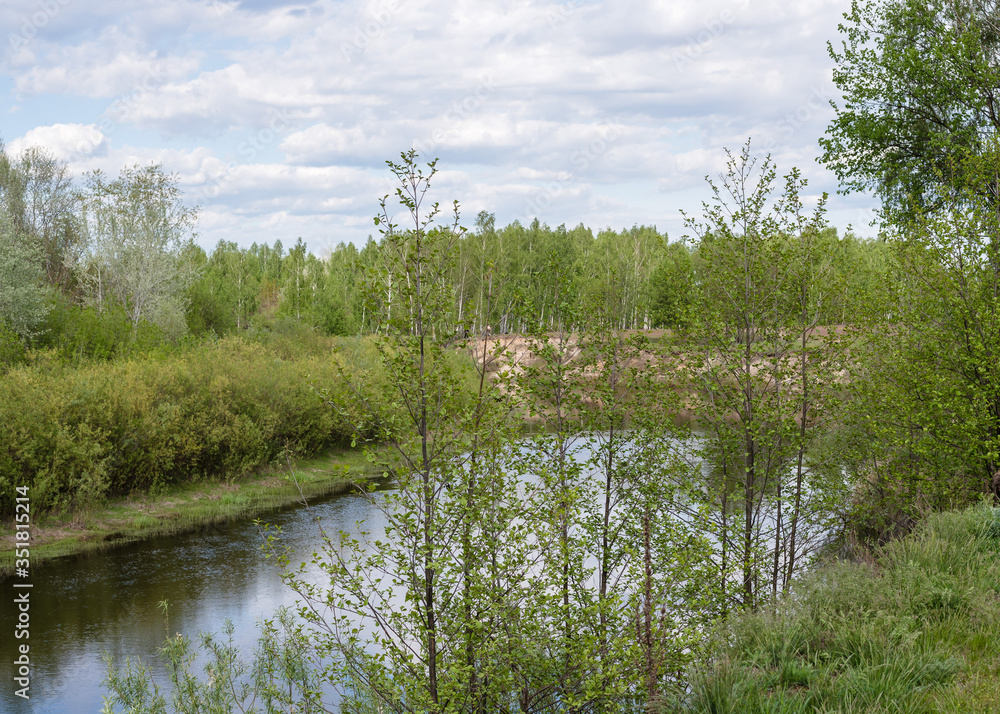 Obraz premium Nature summer, Ukraine. River and sandy steep shore, trees around the shore, landscape. Snow River, Ukraine