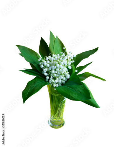 Gentle, beautiful lilies of the valley. White flowers and large green leaves . Isolate on a white background.