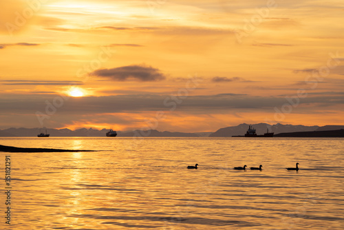 Sunset on Spitsbergen with ships at the horizon and swimming goose in the foreground.