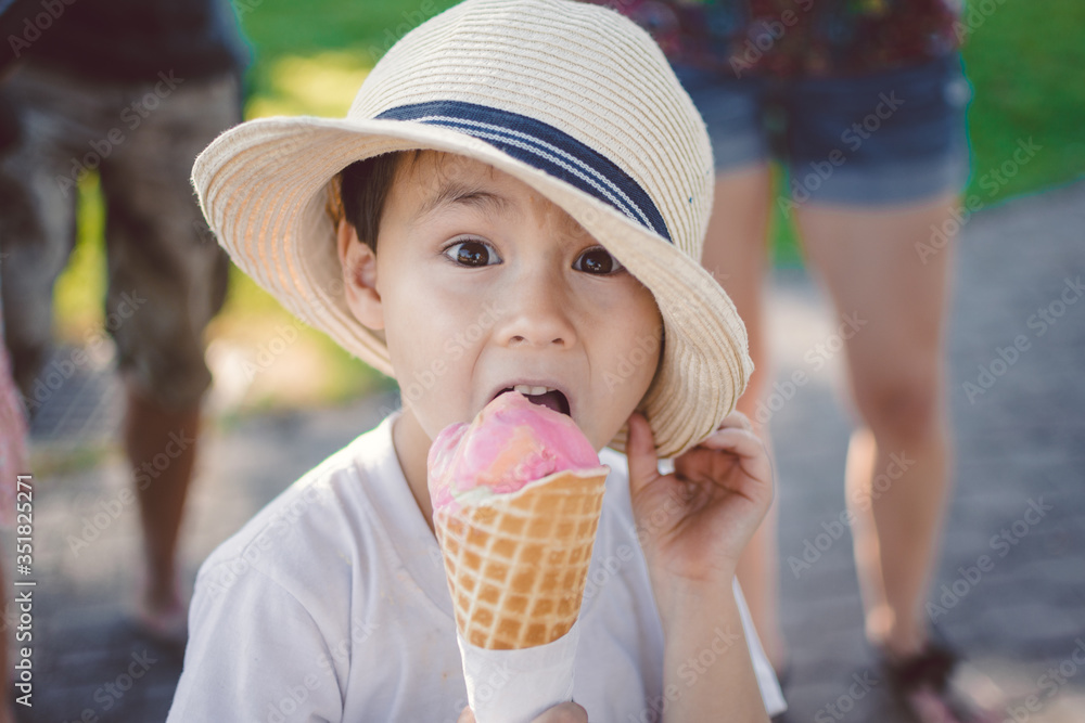 Portrait of A Happy Boy With Icecream Making A Facial Expression Portrait of A Happy Boy With Icecream Making A Facial Expression