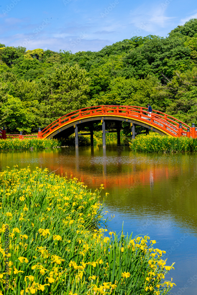 Fototapeta premium 金沢八景・称名寺の庭園