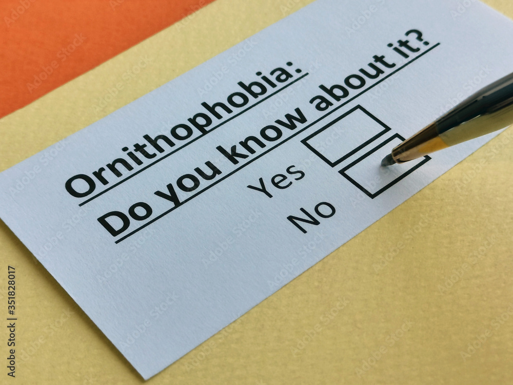 One person is answering question about ornithophobia. One person is answering question about ornithophobia.