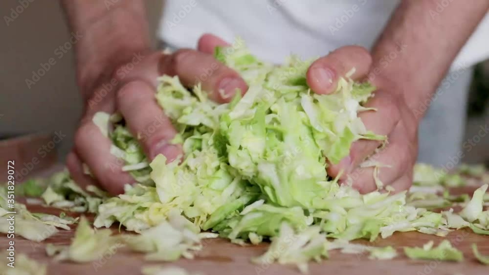 Slices fresh organic cabbage for making salad or for salting cabbage natural background. Vegetarian food concept. Slices fresh organic cabbage for making salad or for salting cabbage natural background. Vegetarian food concept.
