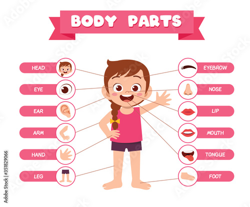 happy cute kid girl body part anatomy