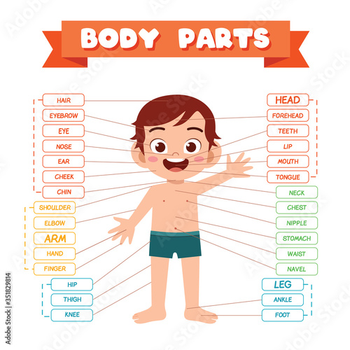 happy cute kid boy body part anatomy