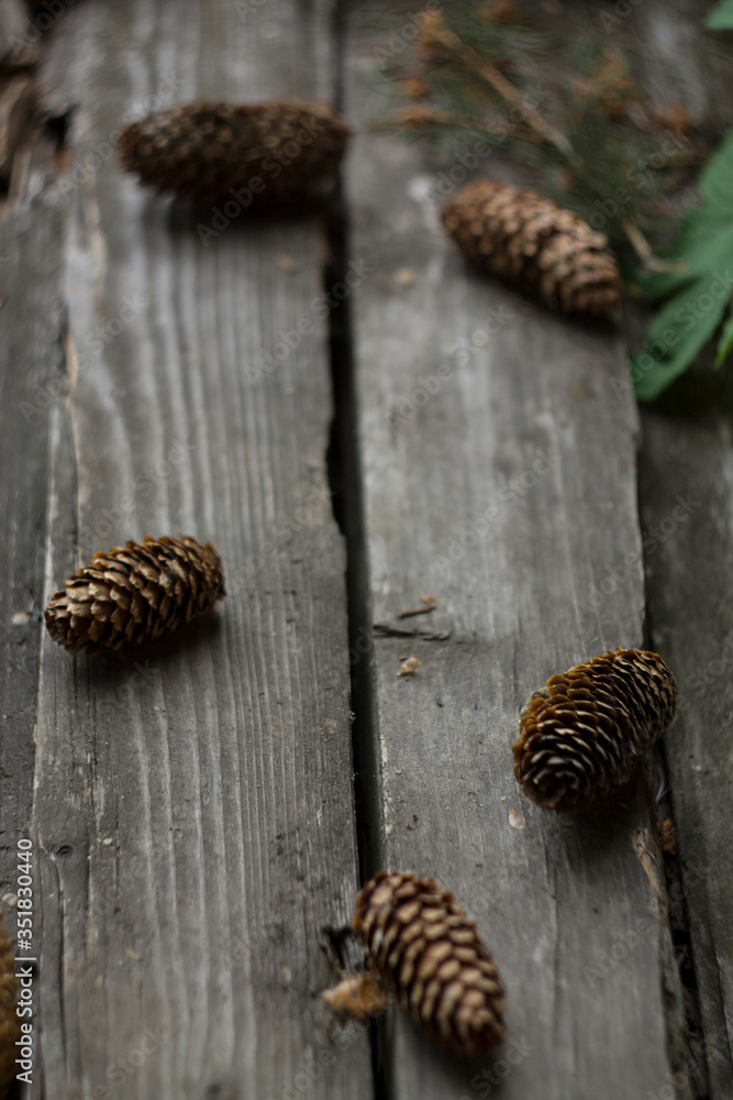 Wood table with fir cones Wood table with fir cones