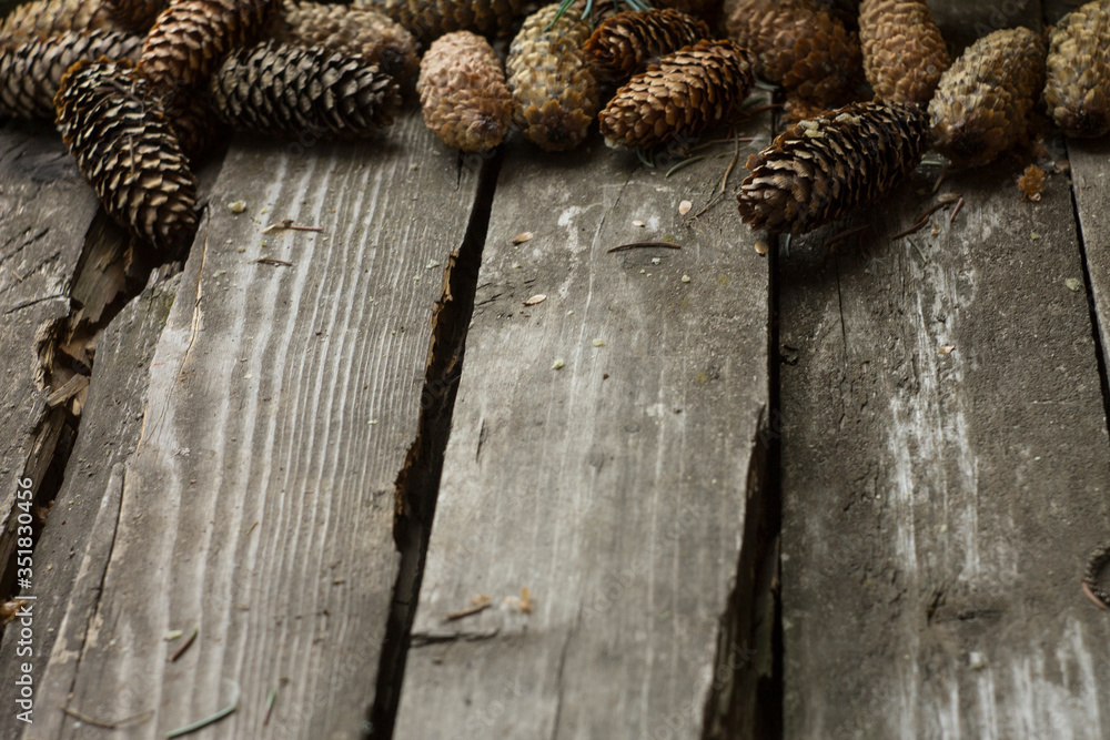 Fototapeta premium Wood table with fir cones horizontal