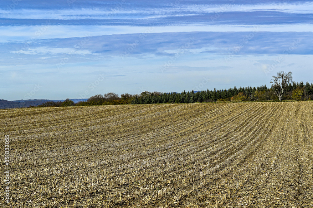 Paysage de campagne en automne