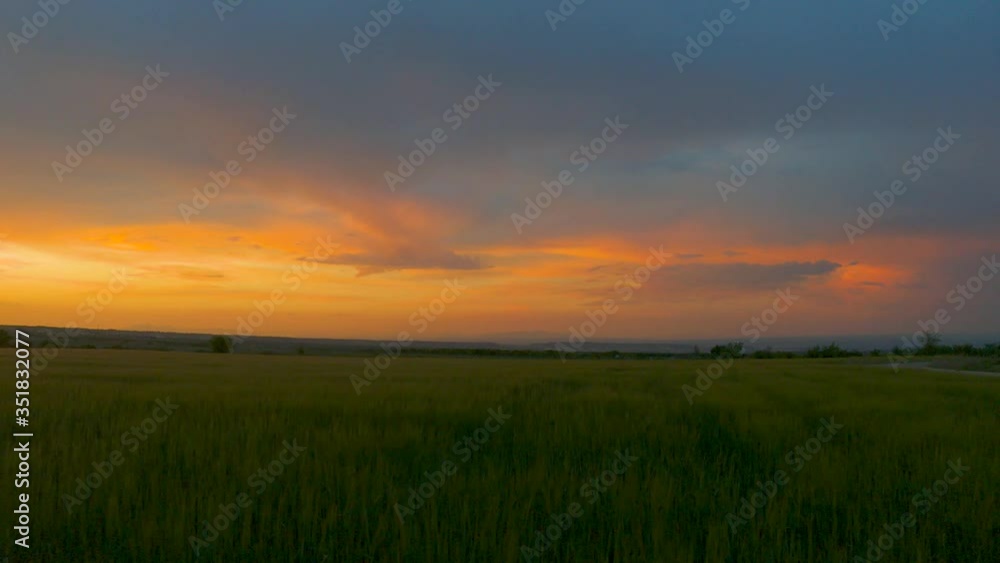 aerial view over green wheat fields at sunset and orange sky with clouds. flight of drones aerial view over green wheat fields at sunset and orange sky with clouds. flight of drones