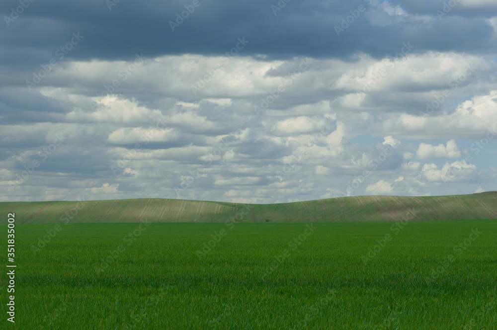 Picturesque spring landscape with green fields, blue sky and white clouds. Beautiful spring nature background