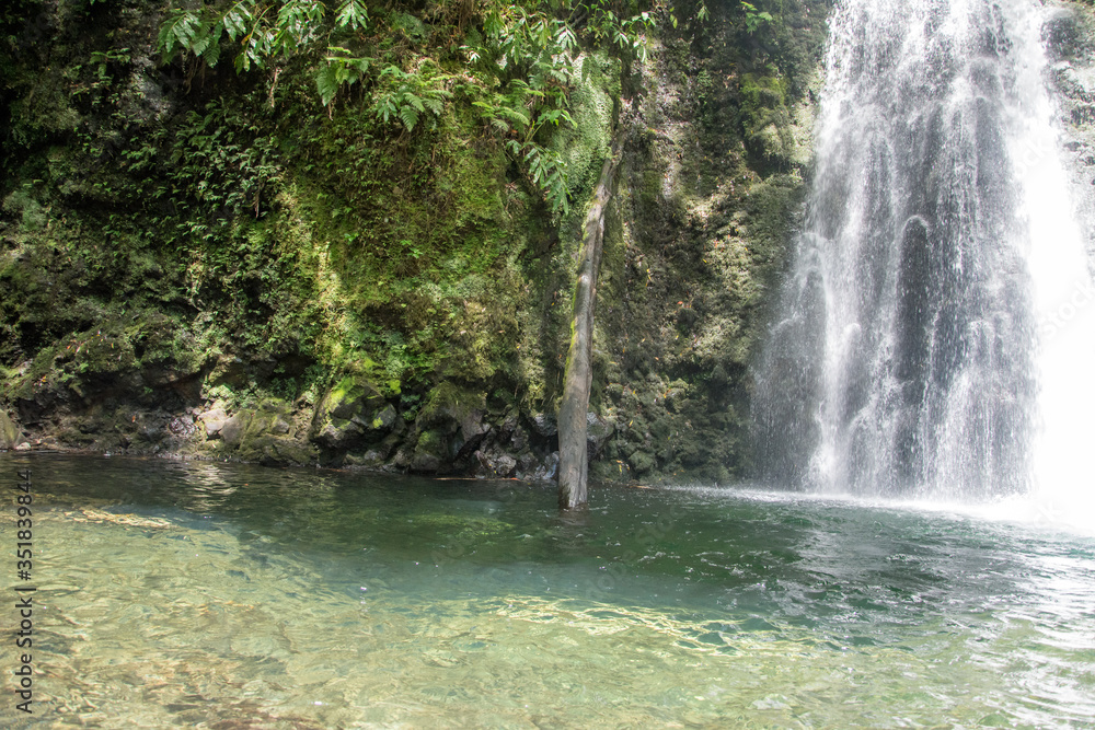 walk and discover the prego salto waterfall on the island of sao miguel, azores walk and discover the prego salto waterfall on the island of sao miguel, azores