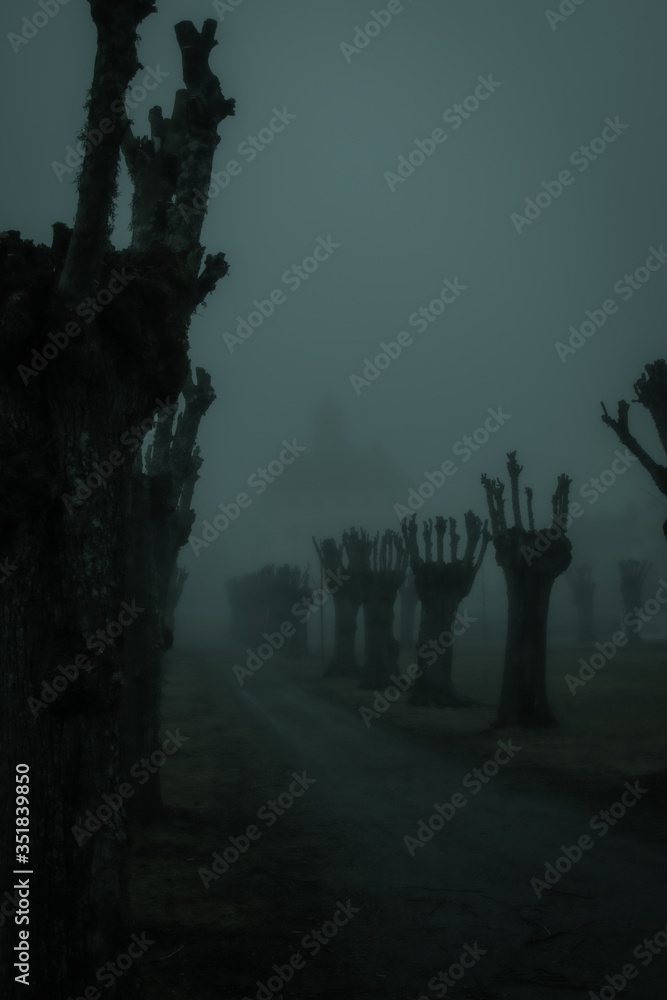 spooky foggy park