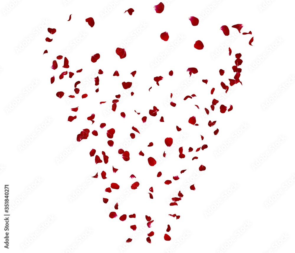 Rose petals swirl in a circle like a tornado Rose petals swirl in a circle like a tornado
