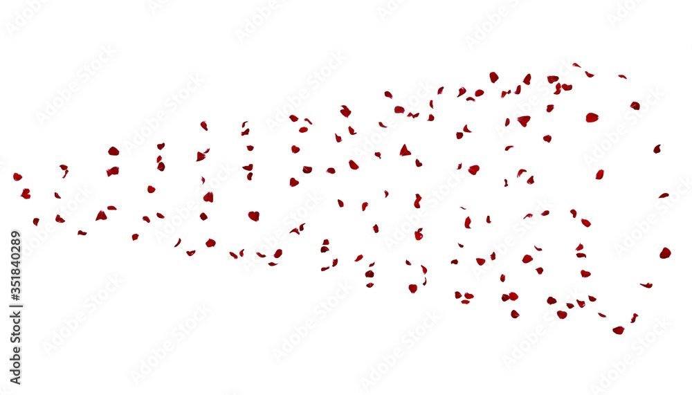 Rose petals swirl in a circle like a tornado Rose petals swirl in a circle like a tornado
