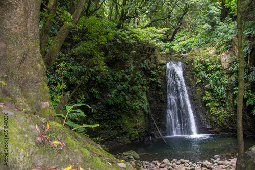walk and discover the prego salto waterfall on the island of sao miguel, azores