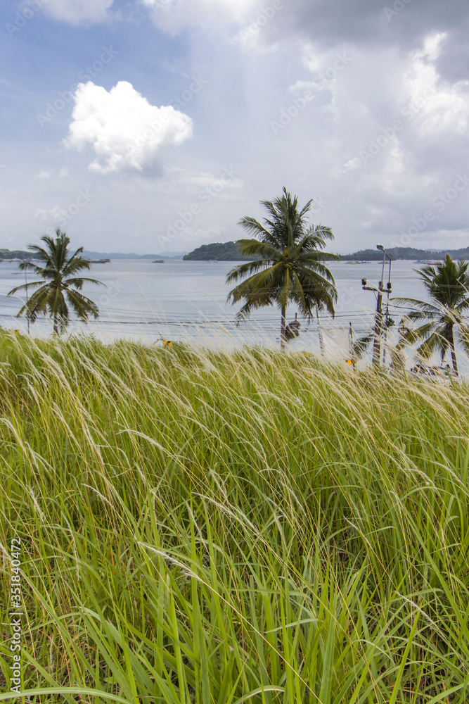 tropical beach with palm trees tropical beach with palm trees
