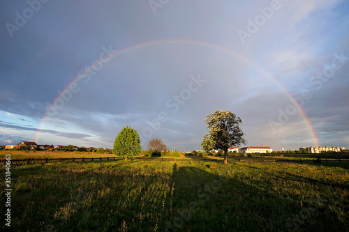 rainbow over field