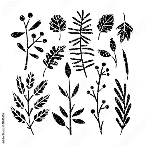 Plants vector set. Grunge style botanical collection on white background. Leaves and branches nature elements