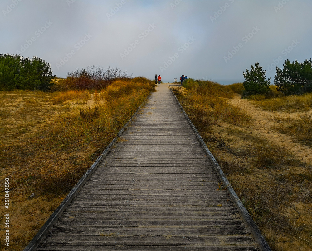 Path with bushes around on Beach near baltic sea in Swinoujscie in november