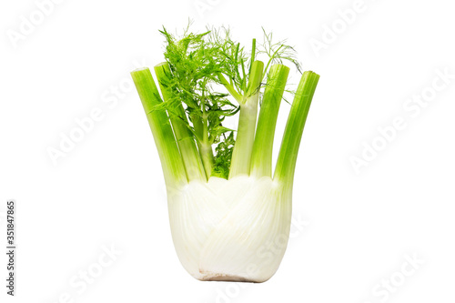 fennel isolated on white background