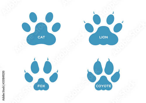 paw and Animals footprints / cat lion fox coyote