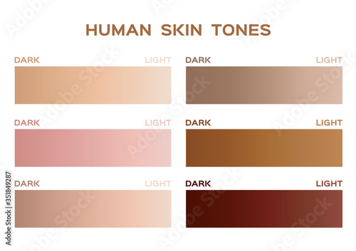 skin tone color infographic / gradient