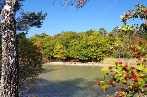 Kleiner See mit Bäumen in Herbstfarben am Ufer unter blauem Himmel © Gnther