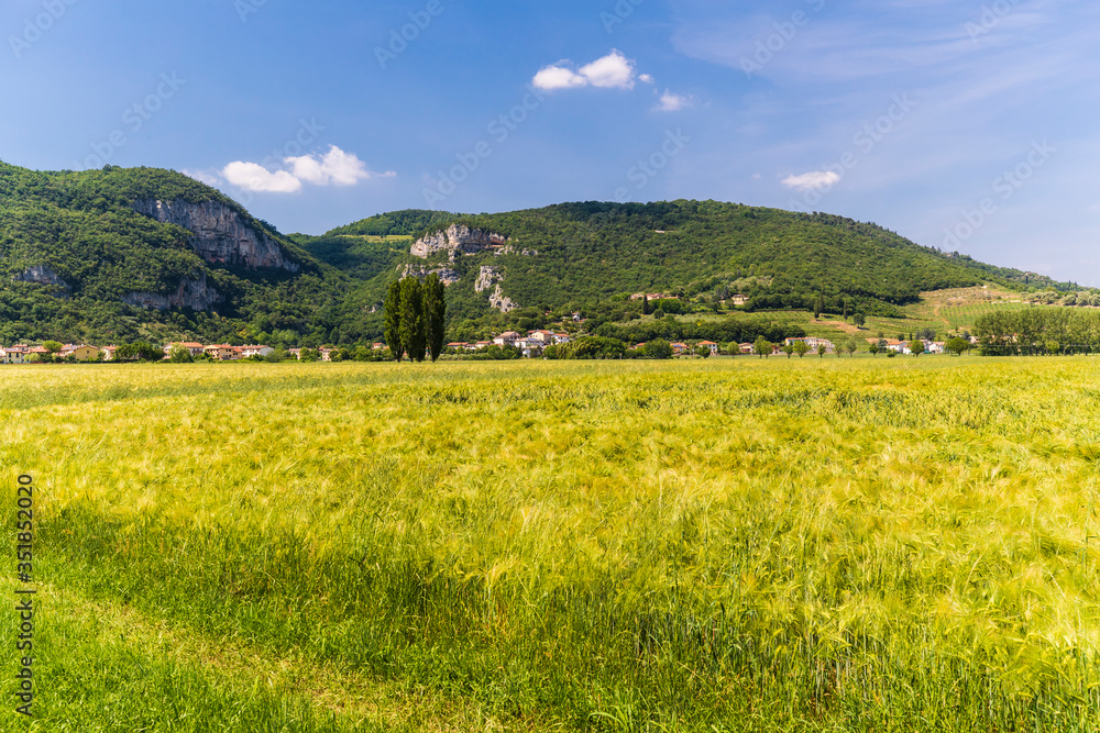 The Berici Hills landscape in Italy