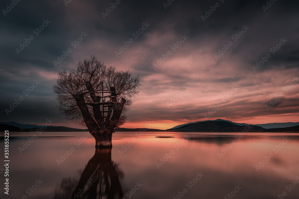Lake, sunset, tree