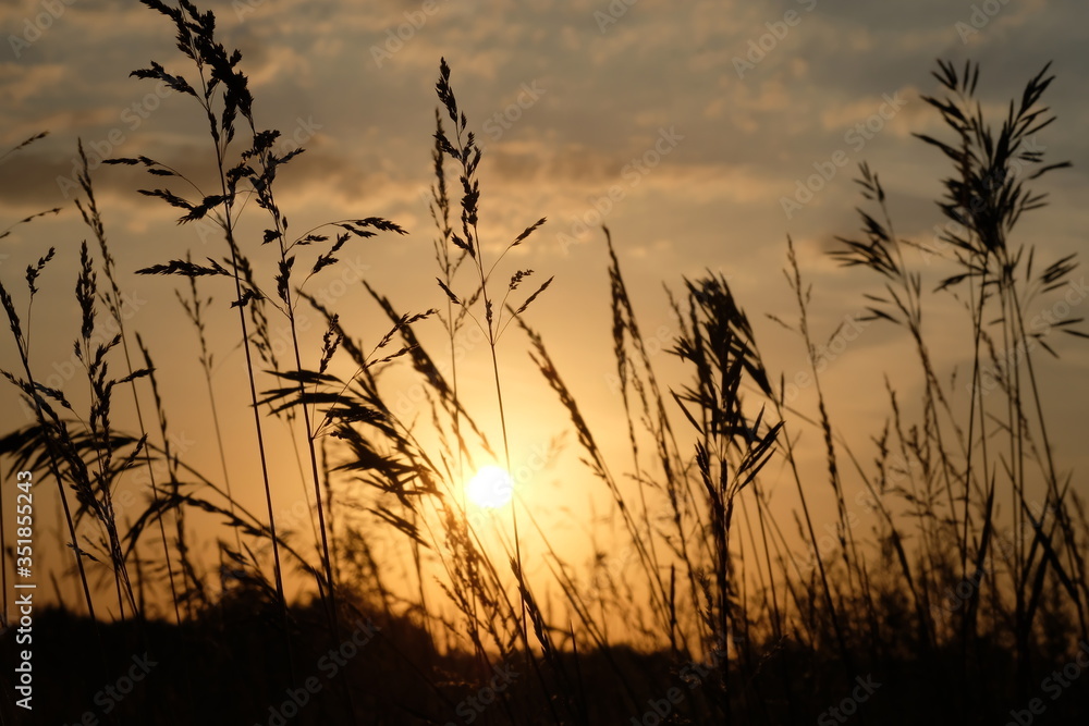 Dawn in a wheat field. Beautiful landscape on sunrise Dawn in a wheat field. Beautiful landscape on sunrise