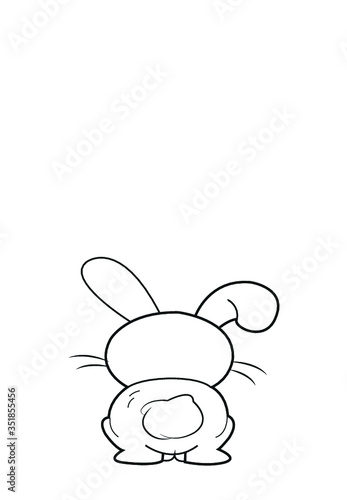 Rabbit backside 