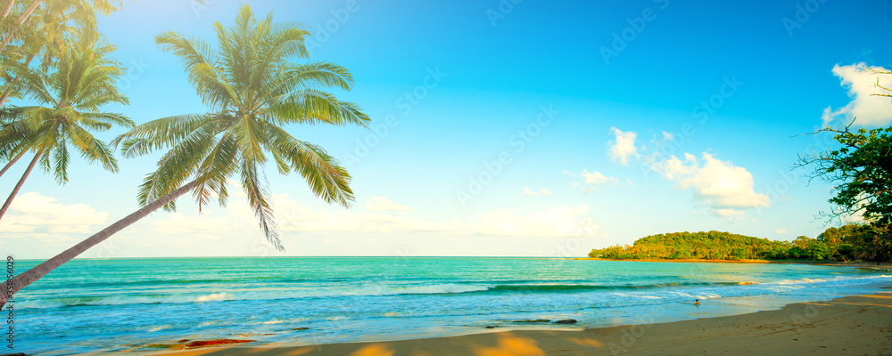 Fototapeta premium tropical beach with palm trees.Summer background on beach and coconut trees.