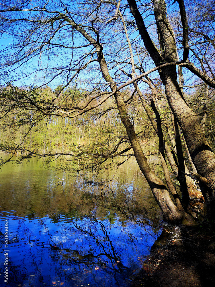 Fototapeta premium Landschaft