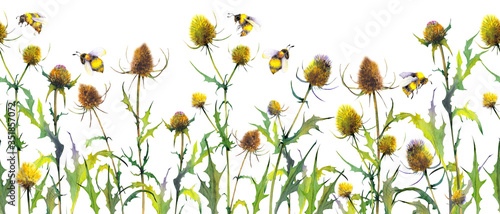 Seamless banner with wild thistle plants and bumblebees.